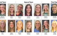 All-Journal Volleyball