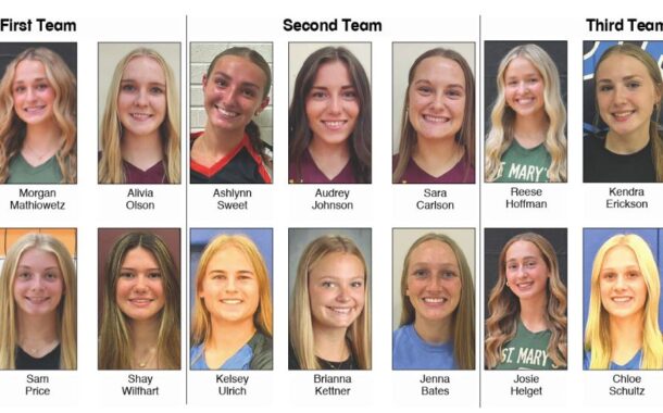 All-Journal Volleyball